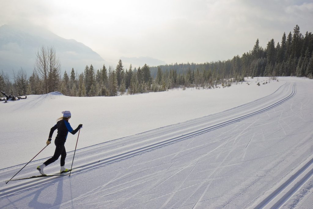 cross country skier in winter heading toward treeline